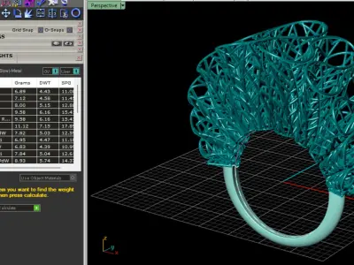 fiozhen ring Free 3D print model