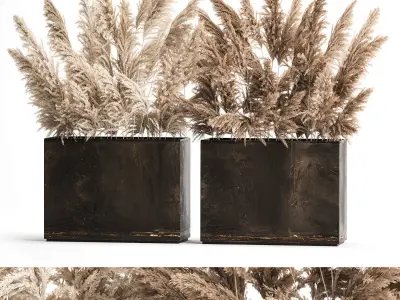 Bouquet Of Dry Reeds and pampas grass  In A Rusty Pots 3D model