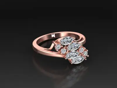 Diamond Jewelry Ring  Free 3D print model