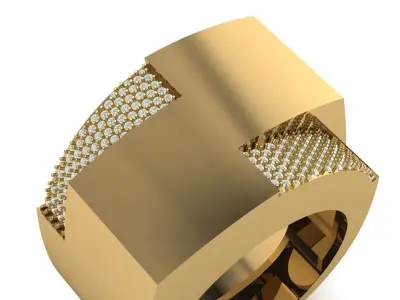 SELEN model of ring VOL 11 3D print model