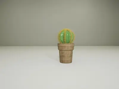 Cactus Plant in a wooden Pt 3D model 3D model
