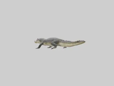 Siamese crocodile Low-poly 3D model