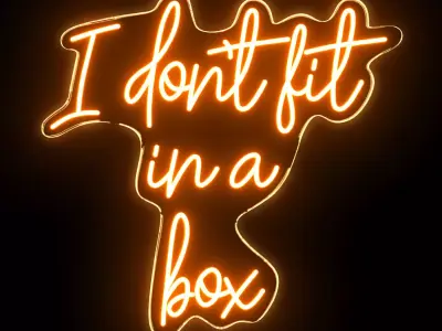 I do not fit in a box Neon Sign 3D model