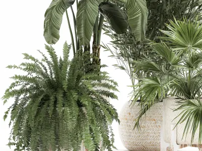 Ornamental plants in rattan baskets 1086 3D model