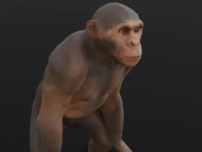 Animated Monkey 3D Model Low-poly 3D model