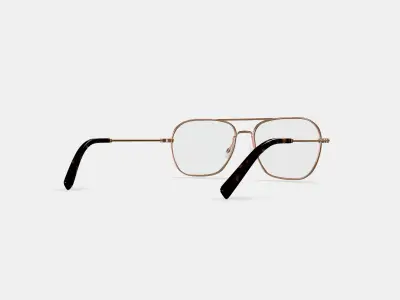 Abe Eyeglasses in Polished Gold 3D model