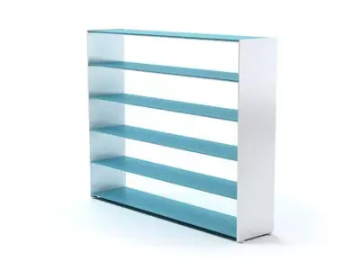 Eileen Frank Blue And White Bookshelf 3D model