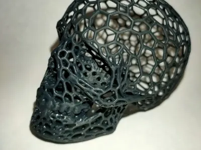 Voronoi Skull  3D print model