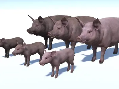 PIG FAMILY Low-poly 3D model
