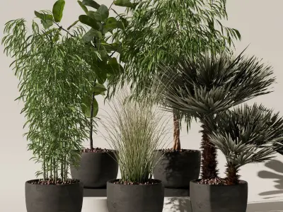 Plants collection 142 3D model