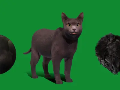 Korat Cat Low-poly 3D model