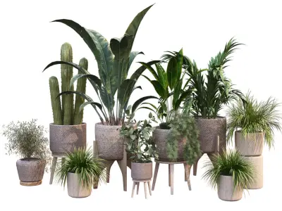 plant in vase collection set 212 3D model