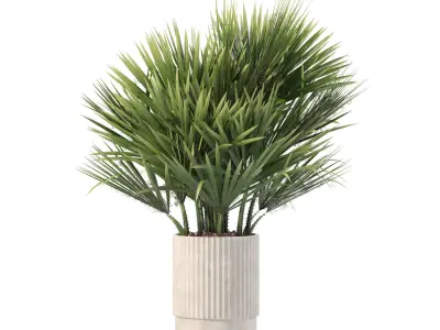 Plants collection 207 - fern strelitzia maranta philodendron 3D model