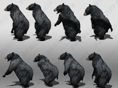 Black Bear Animated Low-poly 3D model