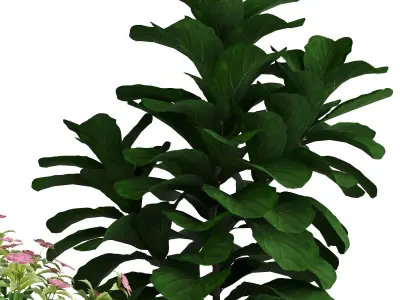 Set 3 Indoor Planters 01 3D model