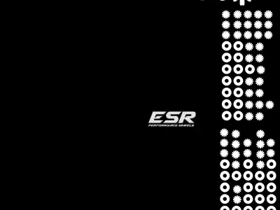 ESR CS1 gloss black Rims 3D model