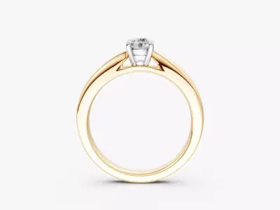 ENGAGEMENT RING-RJ014 3D print model