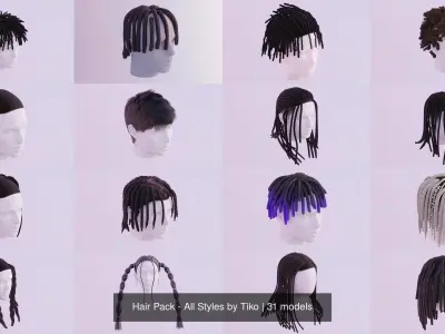 Hair Pack - All Styles by Tiko 3D Model Collection