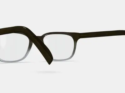 Hector Eyeglasses in Driftwood Fade 3D model