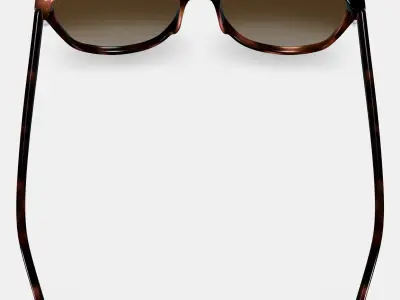 Nancy Low Bridge Fit Sunglasses in Cognac Tortoise 3D model