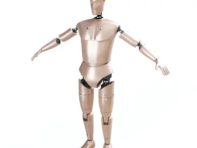 Male Crash Test Dummy 3D model