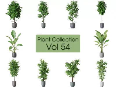 Plants collection vol 54