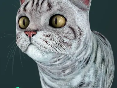 Cat - British  Silver Tabby - Young Kitten - Rigged Custom Low-poly 3D model