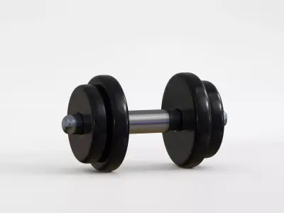 Rubber dumbbells with perforated handle Low-poly 3D model