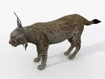 Iberian lynx Low-poly 3D model