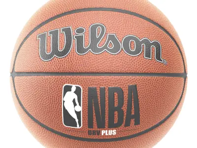 wilson and spalding basketball 3D model