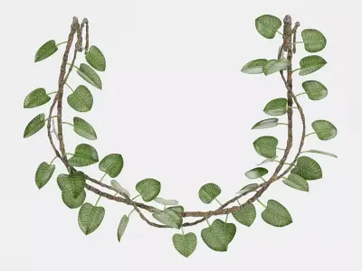 -Liana Plant V3- 3D model