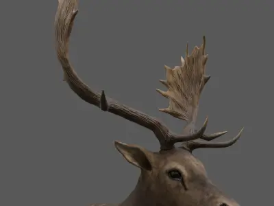 Fallow Deer Male Low-poly 3D model