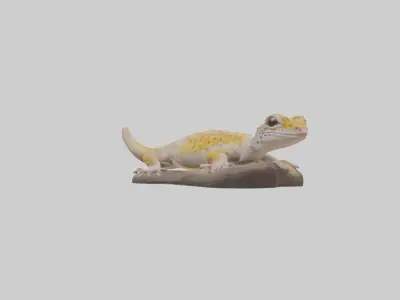 Leopard Gecko lounging model Low-poly 3D model