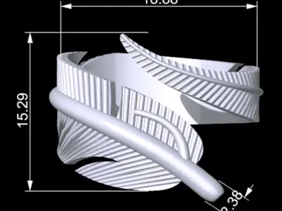 Feather Ring 3D print model