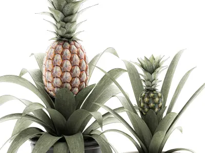 Decorative Pineapple in a pot for the interior 538 3D model
