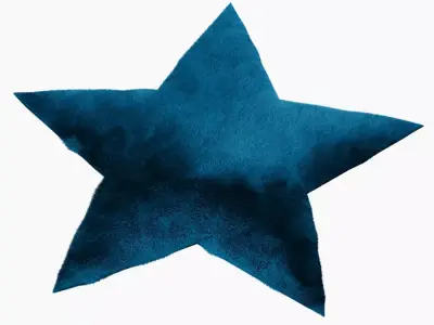Rug Star 3D model