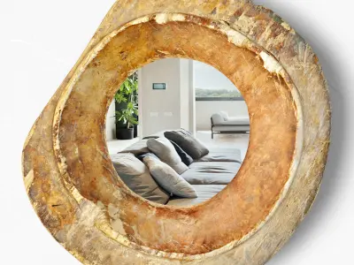 Baga Old Wood Bowl Mirror 3D model