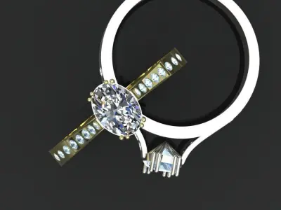 SP Rings 3D print model