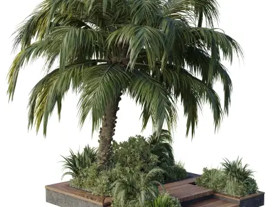 garden pot tree palm bush Collection Outdoor plant  3D model