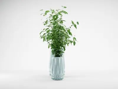 DECORATIVE PLANTS IN POTS 3D model