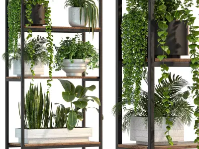 Metal Stand and Wooden Shelf Plant 3D model