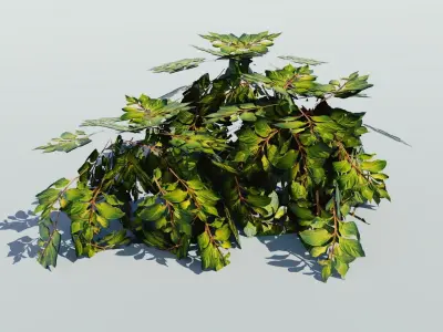 Luxury Bush Low-poly 3D model