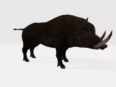 Boar 3d warthog 3D model