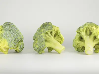 Bunch of broccoli 28 Low-poly 3D model