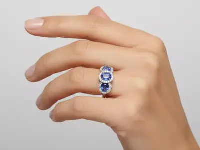 Blue Meridian Pave Ring 3D print model