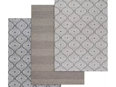 Rug Set 349 3D model
