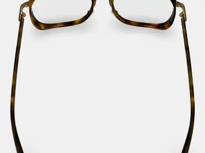 Fernanda Eyeglasses in Cognac Tortoise with Polished Gold 3D model