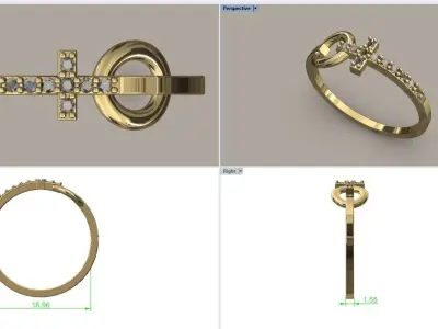 Ring cross 3D print model