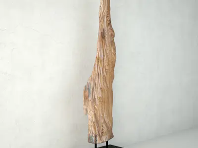Natura Root Wood 3D model