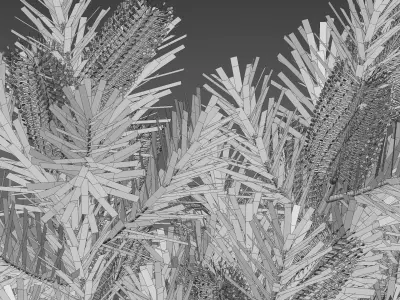 Banksia spinulosa - Hairpin Banksia 02 3D model